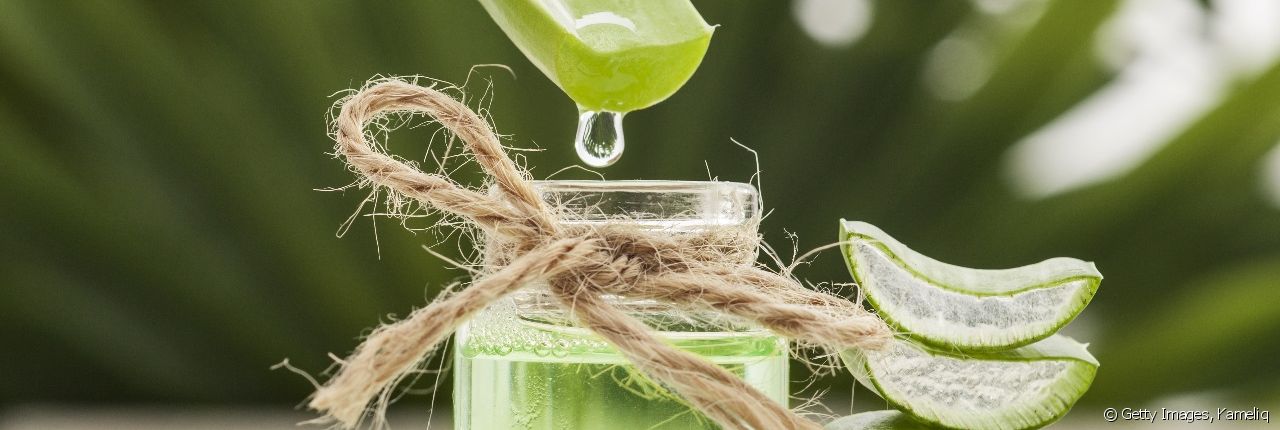 Los beneficios del aloe vera