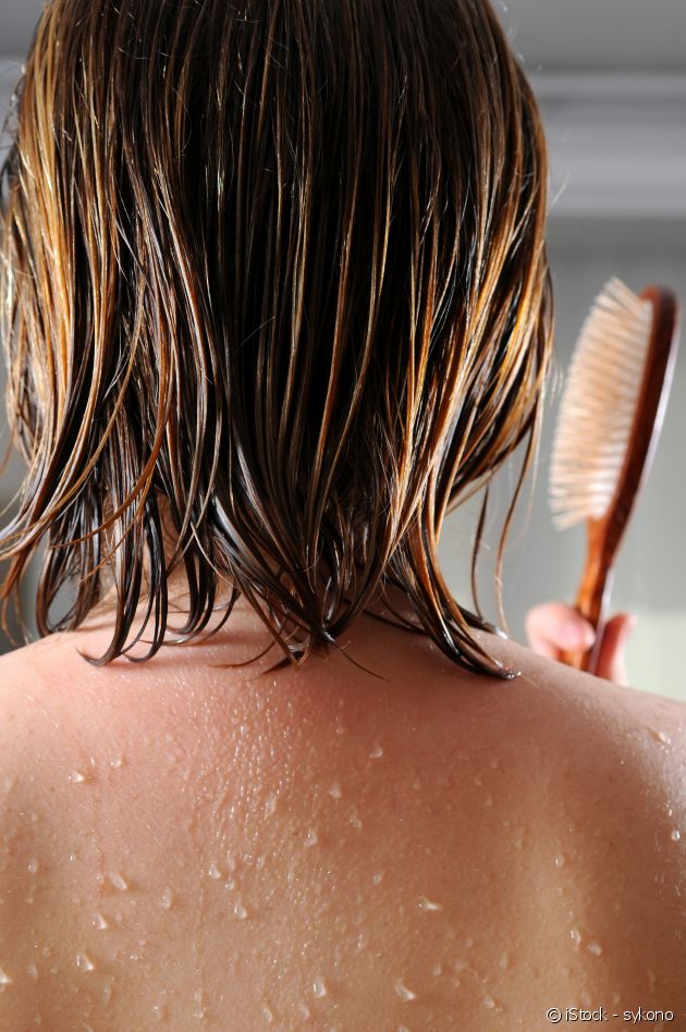 ¿Por qué no hay que cepillarse el cabello cuando está mojado?