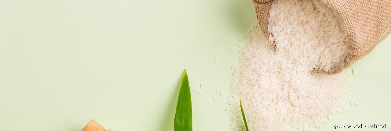 Émilie HEBERT nos habla sobre la proteína de arroz